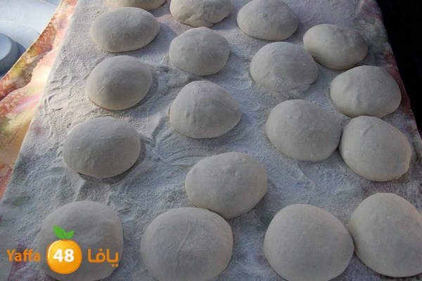 rashidiya 0212 (36).JPG